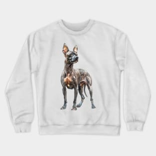 American Hairless Terrier Crewneck Sweatshirt